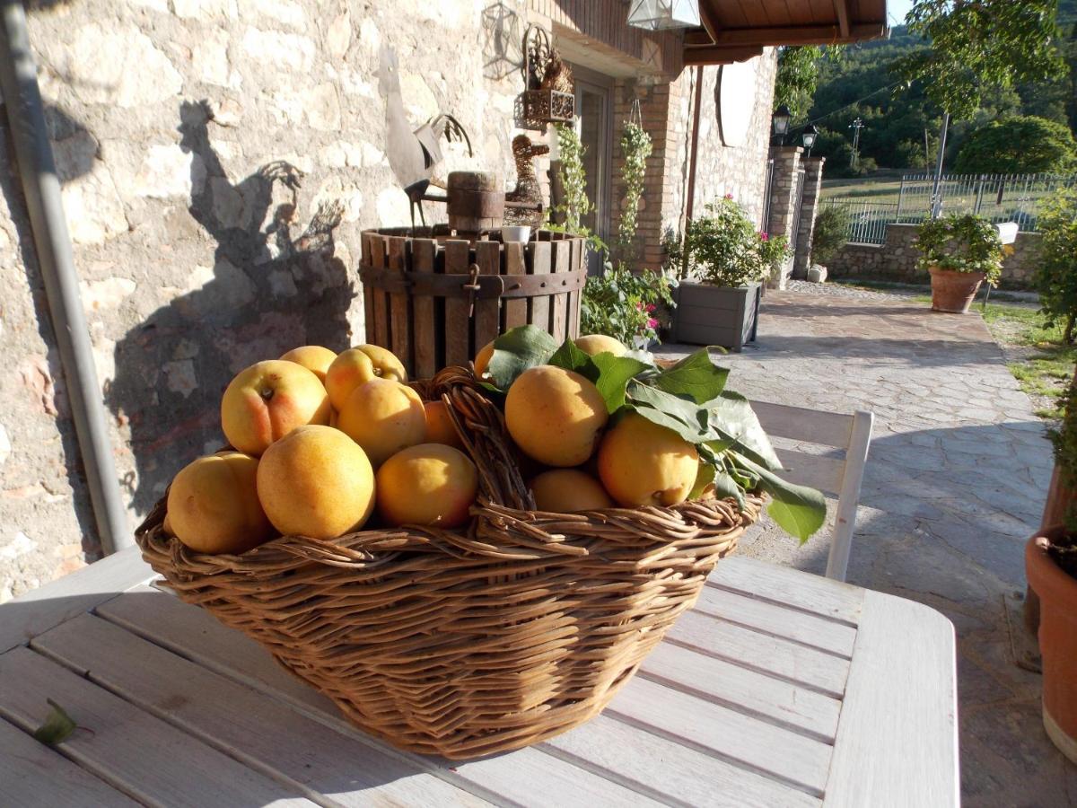 B&B Nonna Rosa Norcia Exterior foto